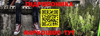стафф Братск