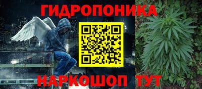 стафф Братск